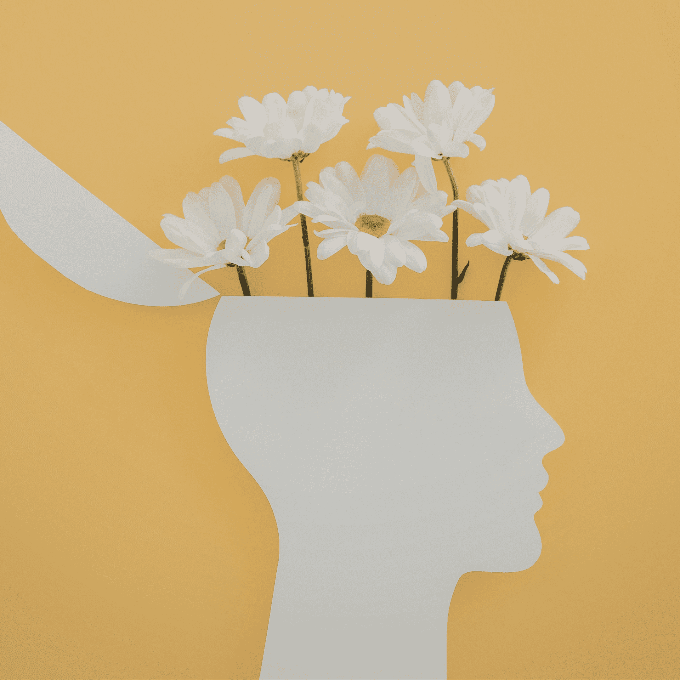 SEL Activity: How to Train Your Brain: Positive Affirmations